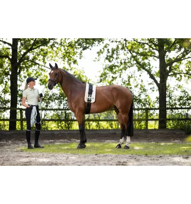 Lonża dla konia Catherine miętowy