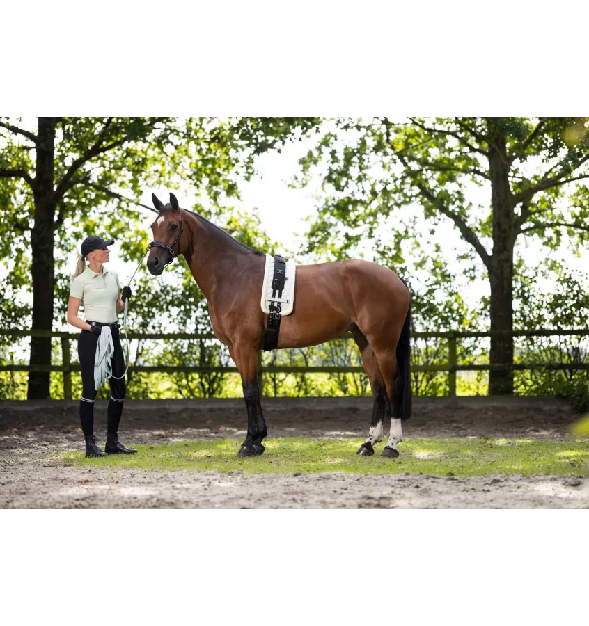 Lonża dla konia Catherine miętowy