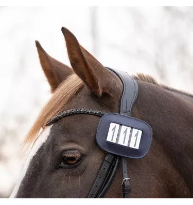 Numerek startowy Modeste kwadrat granat