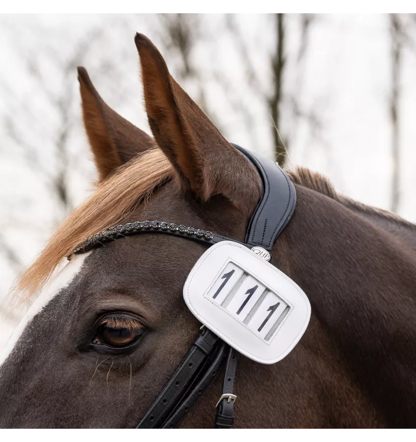 Numerek startowy Modeste kwadrat granat