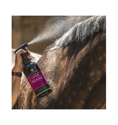 Carr&Day Martin Mane & Tail odżywka do grzywy