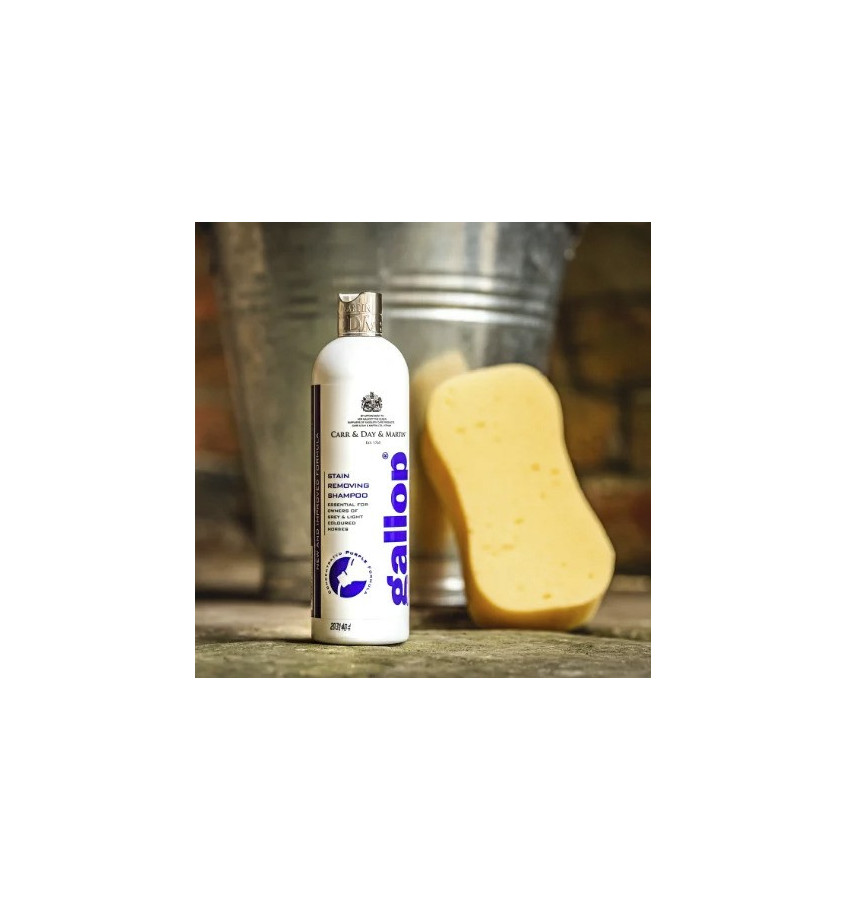Carr Day Martin Gallop szampon na plamy
