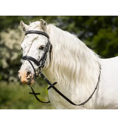Ogłowie Beli czarne mini shetty