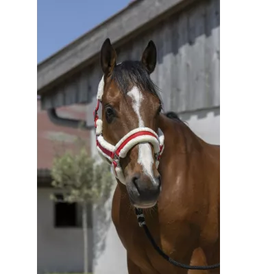 Kantar dla konia z futerkiem Cosy czarny cob