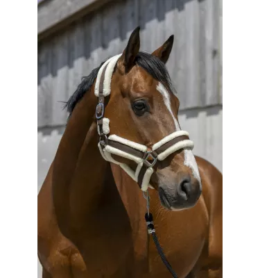 Kantar dla konia z futerkiem Cosy czarny cob