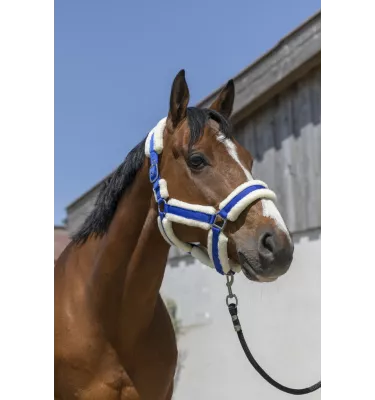 Kantar dla konia z futerkiem Cosy czarny cob