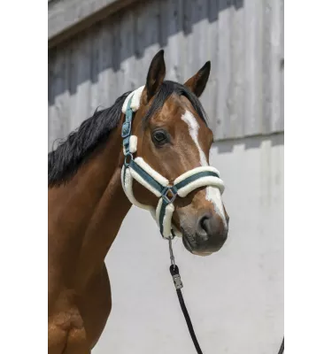 Kantar dla konia z futerkiem Cosy czarny cob