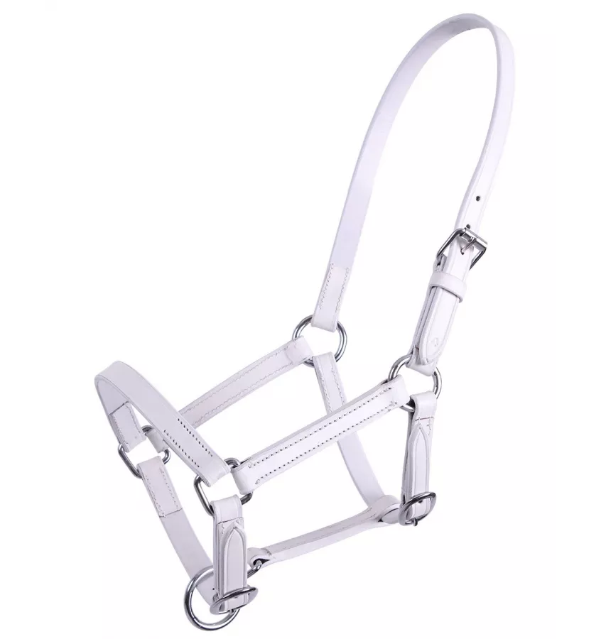 Kantar skórzany dla źrebaka Chico biały full