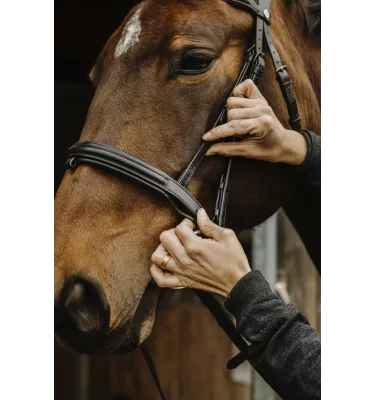 Ogłowie dla konia Apohyse Norton cob