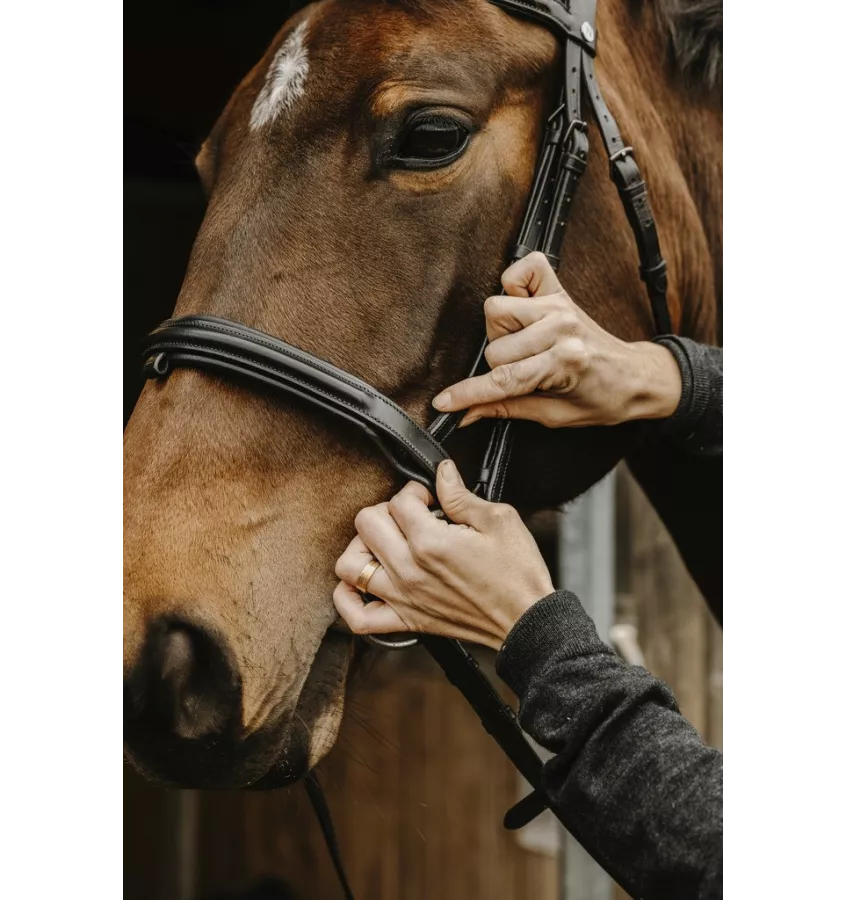 Ogłowie dla konia Apohyse Norton cob