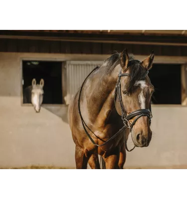 Ogłowia dla konia Eric Thomas Bat cob