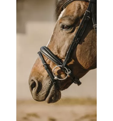 Ogłowia dla konia Eric Thomas Bat cob