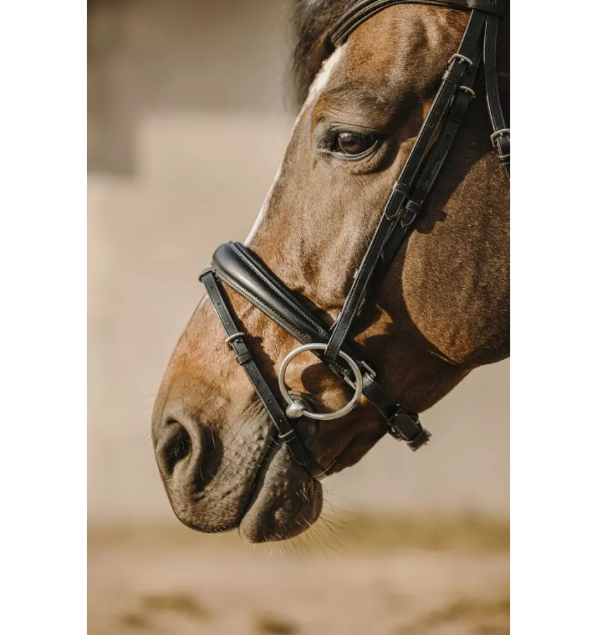 Ogłowia dla konia Eric Thomas Bat cob