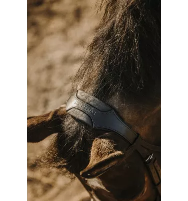 Ogłowia dla konia Eric Thomas Bat cob