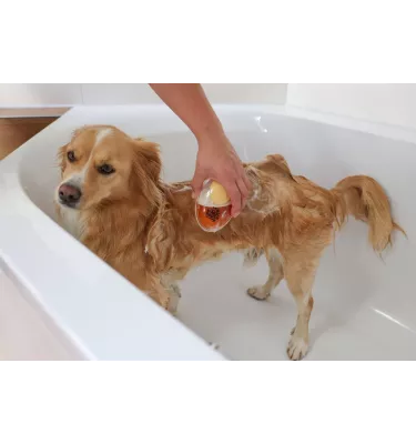 Szczotka z dozownikiem szamponu Magic Brush