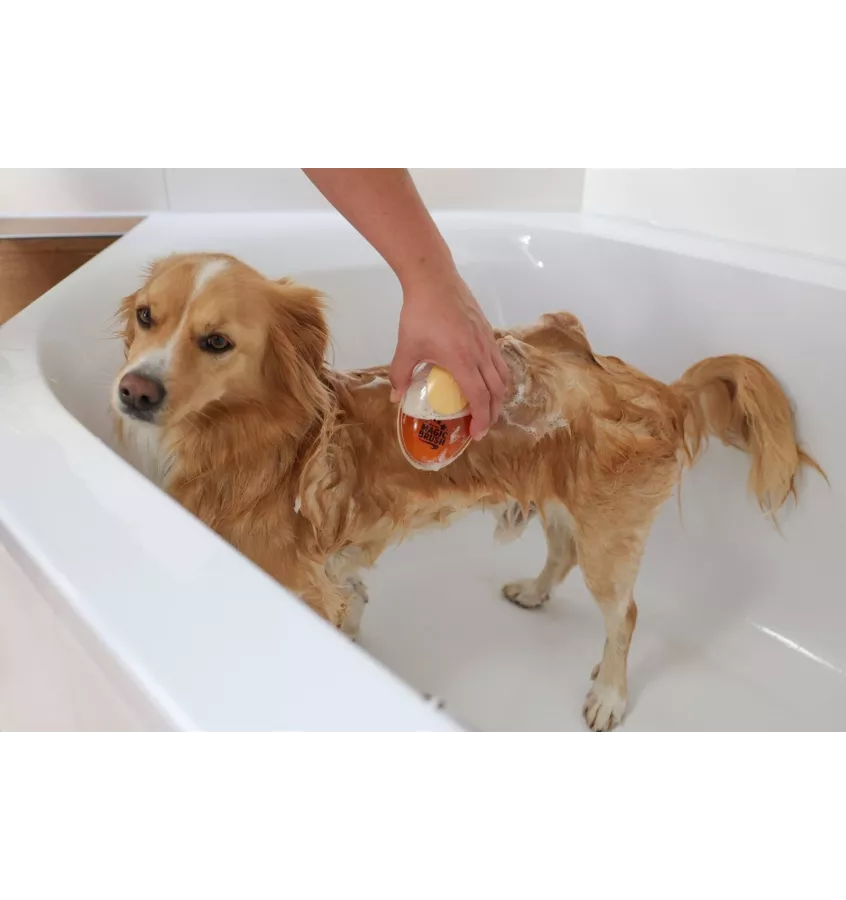 Szczotka z dozownikiem szamponu Magic Brush