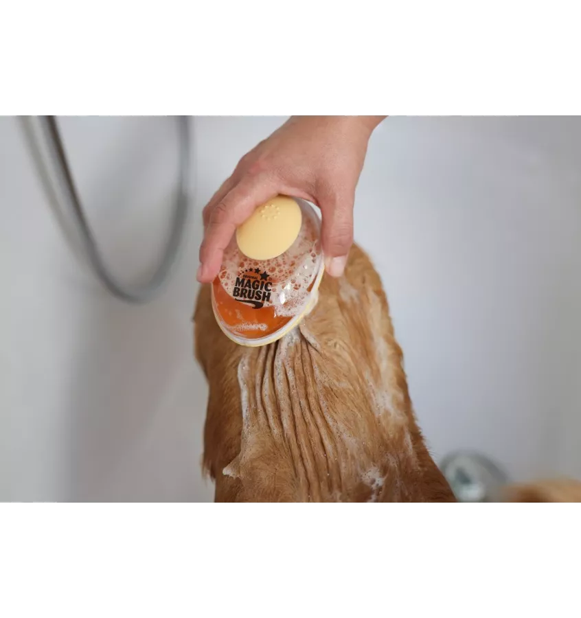 Szczotka z dozownikiem szamponu Magic Brush