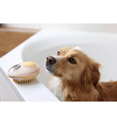 Szczotka z dozownikiem szamponu Magic Brush