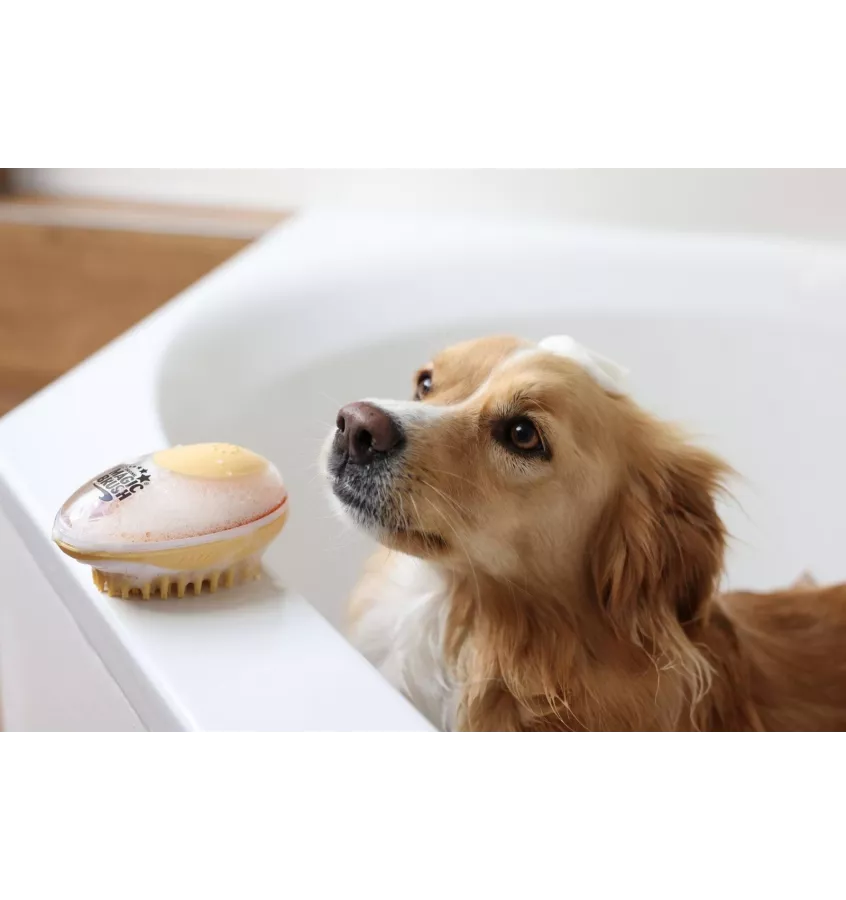 Szczotka z dozownikiem szamponu Magic Brush