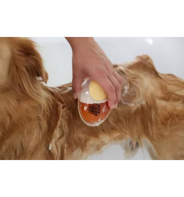 Szczotka z dozownikiem szamponu Magic Brush