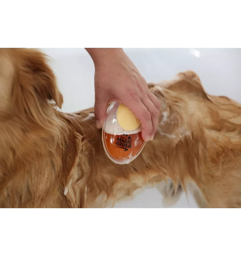 Szczotka z dozownikiem szamponu Magic Brush