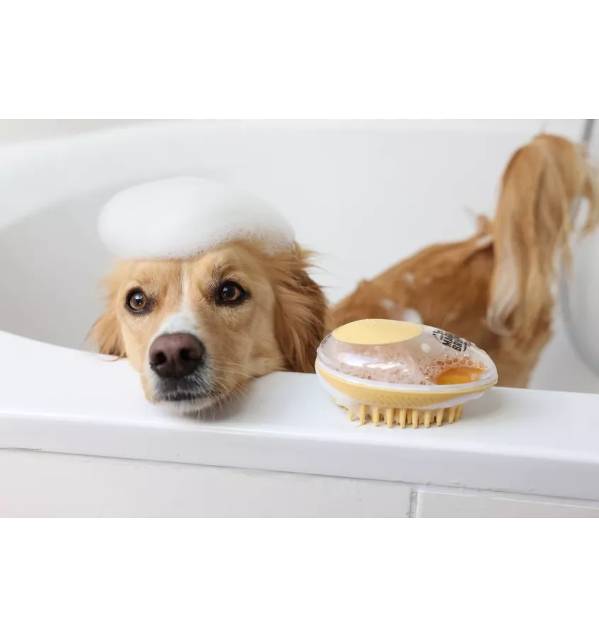 Szczotka z dozownikiem szamponu Magic Brush