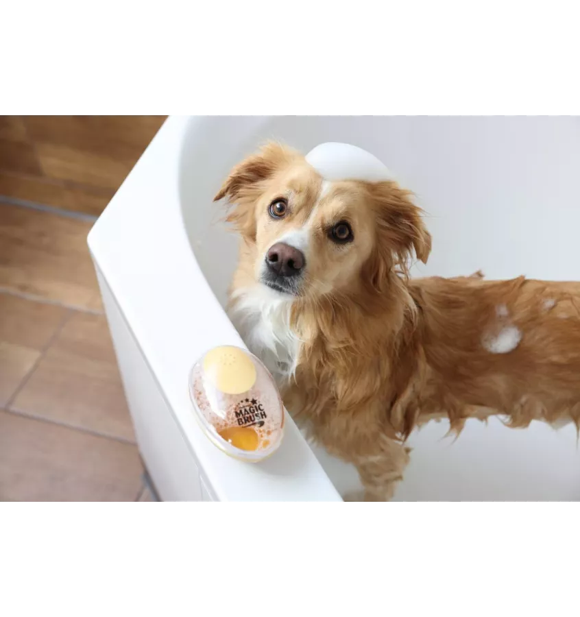 Szczotka z dozownikiem szamponu Magic Brush