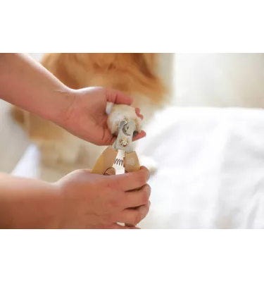 Cążki obcinaczki do pazurów dla psa i kota