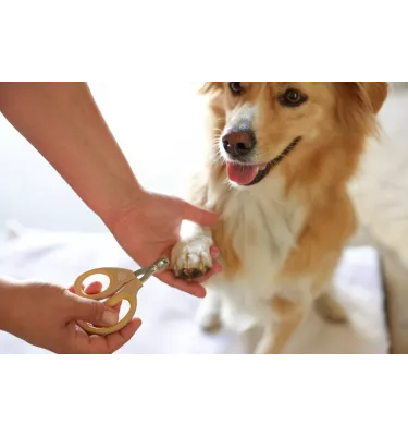 Nożyczki do pazurów dla psa i kota