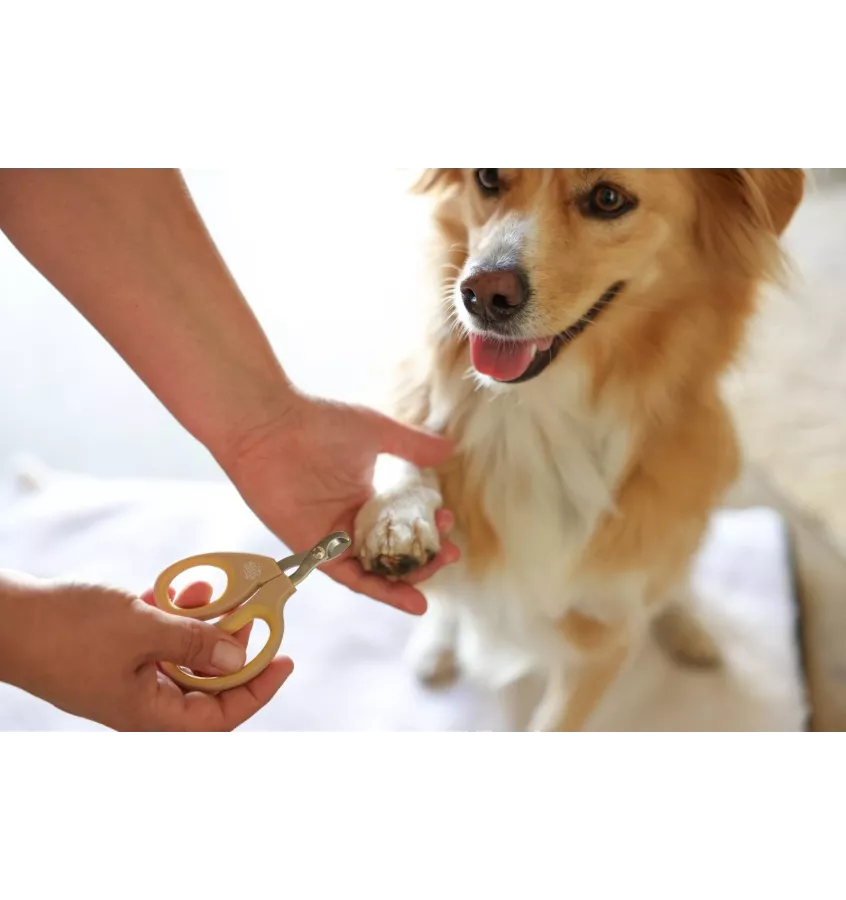 Nożyczki do pazurów dla psa i kota