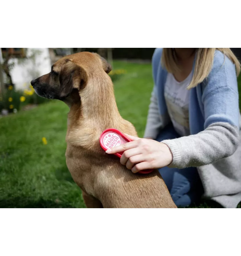 Szczotka Magic Brush dla psa