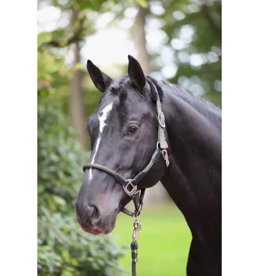 Kantar z futerkie Cordano oliwka cob