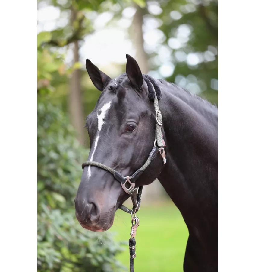 Kantar z futerkie Cordano oliwka cob