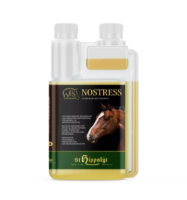 Hippolyt WES – NoStress