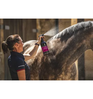 Carr&Day Martin Mane & Tail odżywka do grzywy 1l