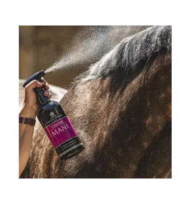 Carr&Day Martin Mane & Tail odżywka do grzywy 1l