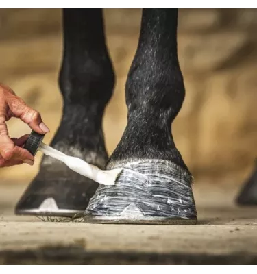 Olej do kopyt Carr & Day & Martin