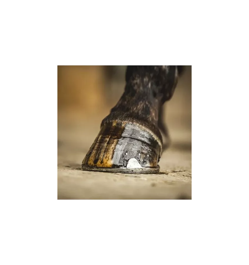 Olej do kopyt Carr & Day & Martin