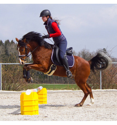 Podstawka pod cavaletti drągi ver.1