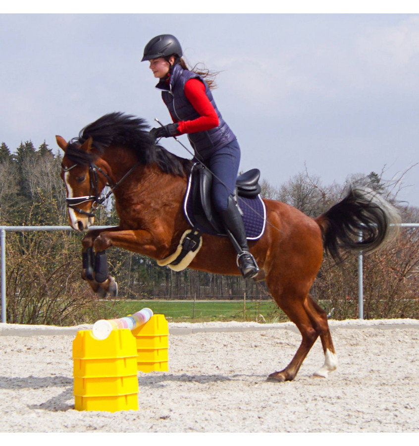 Podstawka pod cavaletti drągi ver.1