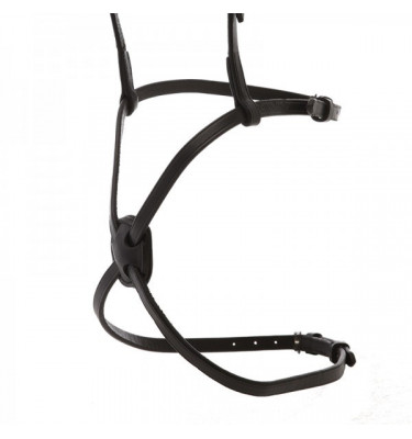 Nachrapnik meksykański