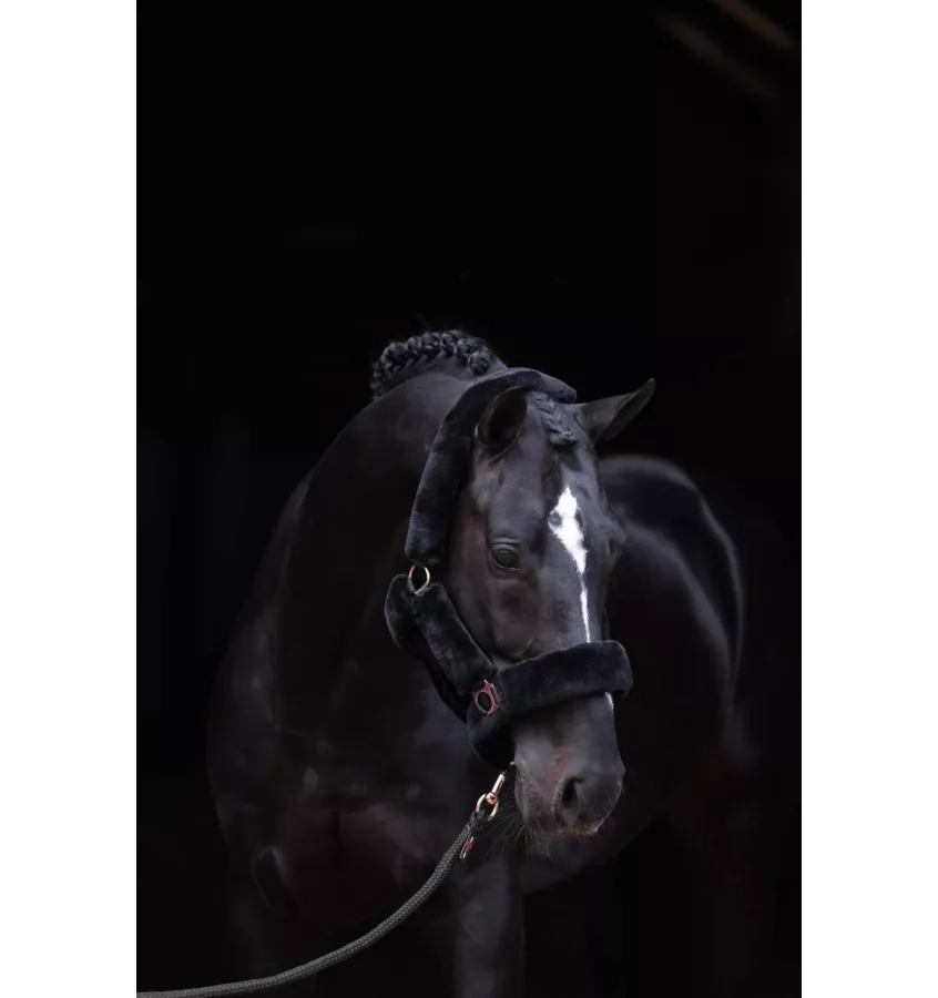 Kantar z futerkiem SuperSoft czarny cob