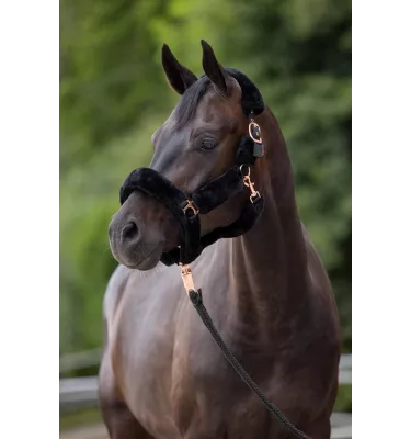 Kantar z futerkiem SuperSoft czarny cob