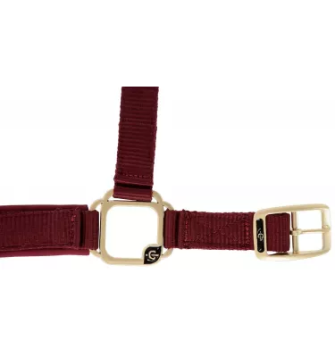 Kantar dla konia Classy bordo cob