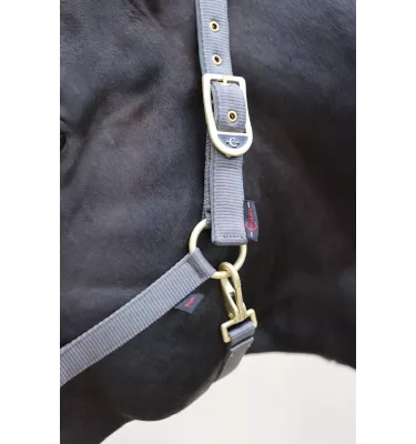 Kantar dla konia Classy bordo cob