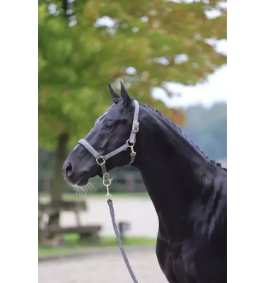 Kantar dla konia Classy bordo cob