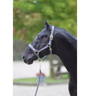 Kantar dla konia Classy bordo cob