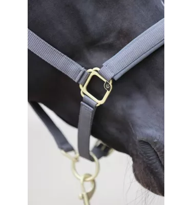 Kantar dla konia Classy bordo cob