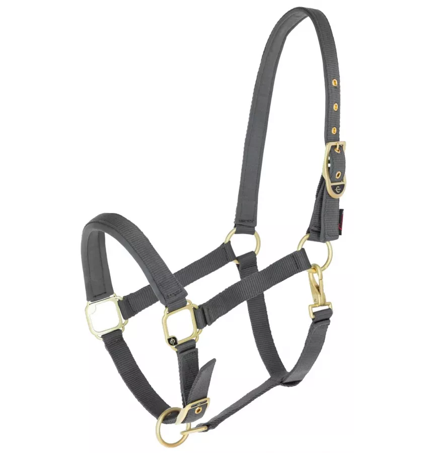 Kantar dla konia Classy bordo cob