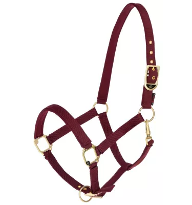 Kantar dla konia Classy bordo cob